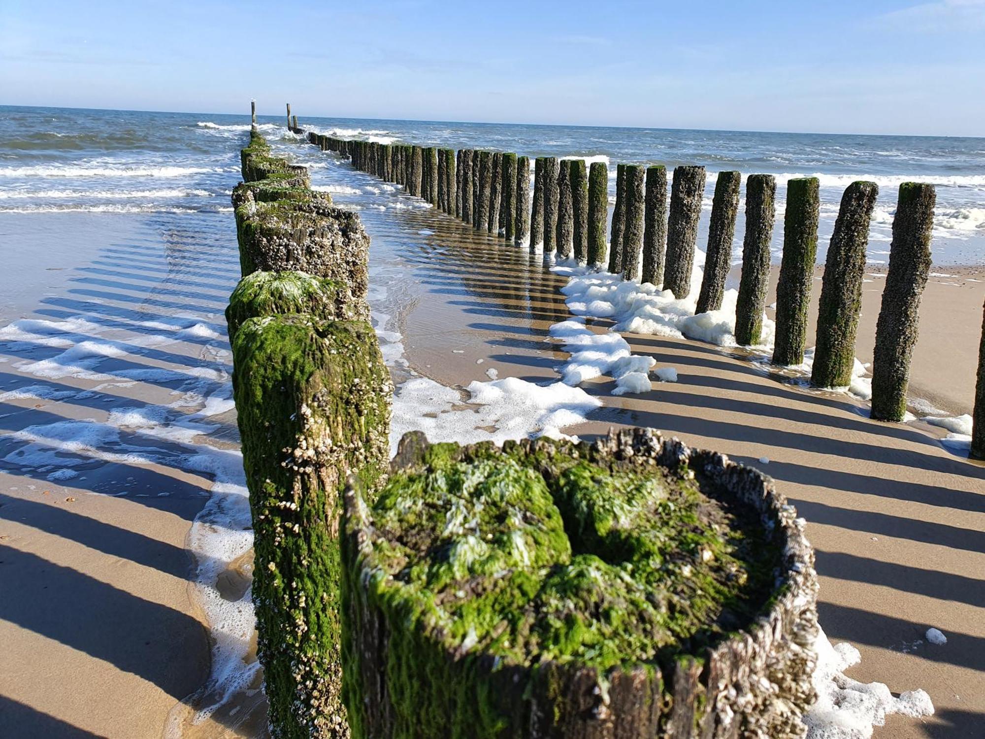 Studio Aan Zee Oostkapelle Ruang foto